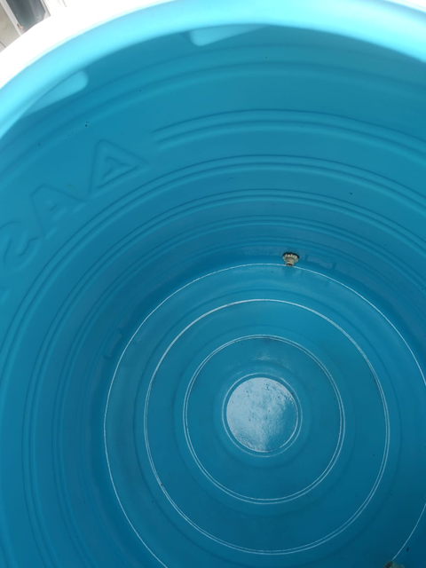 SR Indian Water Tank Cleaning